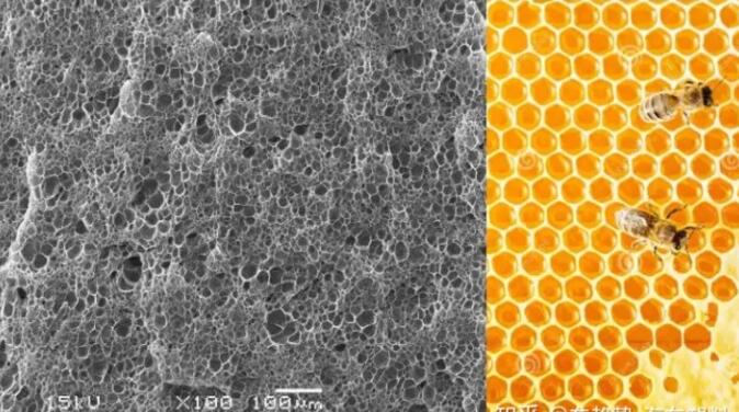 epp發(fā)泡聚丙烯的顯微結(jié)構(gòu),可以看到這是種連續(xù)閉孔結(jié)構(gòu),類(lèi)似于蜂窩 epp發(fā)泡聚丙烯的顯微結(jié)構(gòu),可以看到這是種連續(xù)閉孔結(jié)構(gòu),類(lèi)似于蜂窩
