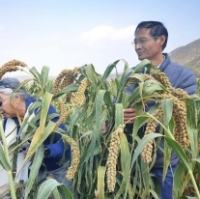 范寶明：退伍不褪色,讓荒山變良田