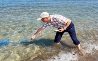 防止中餐過度形式化、“藝術化”丟了食物的本質